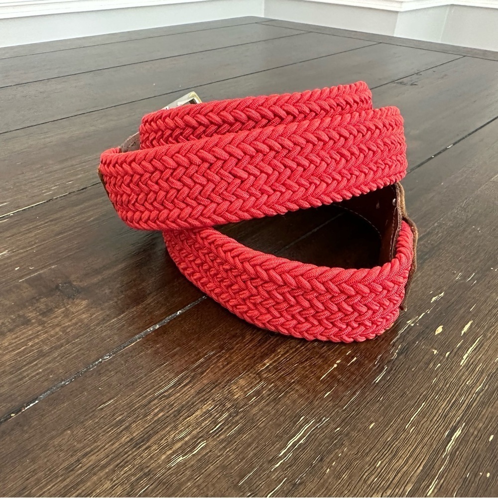 Turtleson belt - Picture 3 of 11